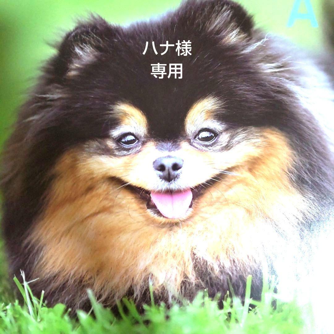 ハナ バレンタインプチギフト ラブブ❤️ギフト