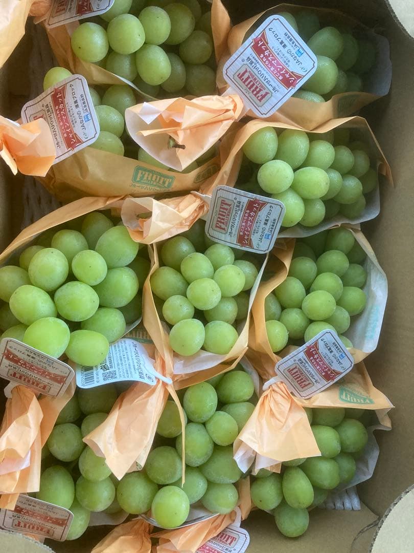 長野産　シャインマスカット10房　約５キロ