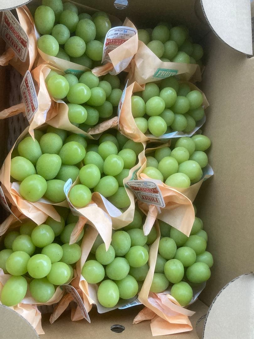 長野産　シャインマスカット10房　約５キロ