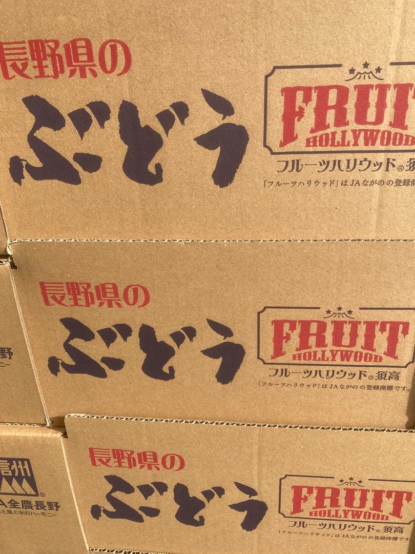 長野産　シャインマスカット10房　約５キロ