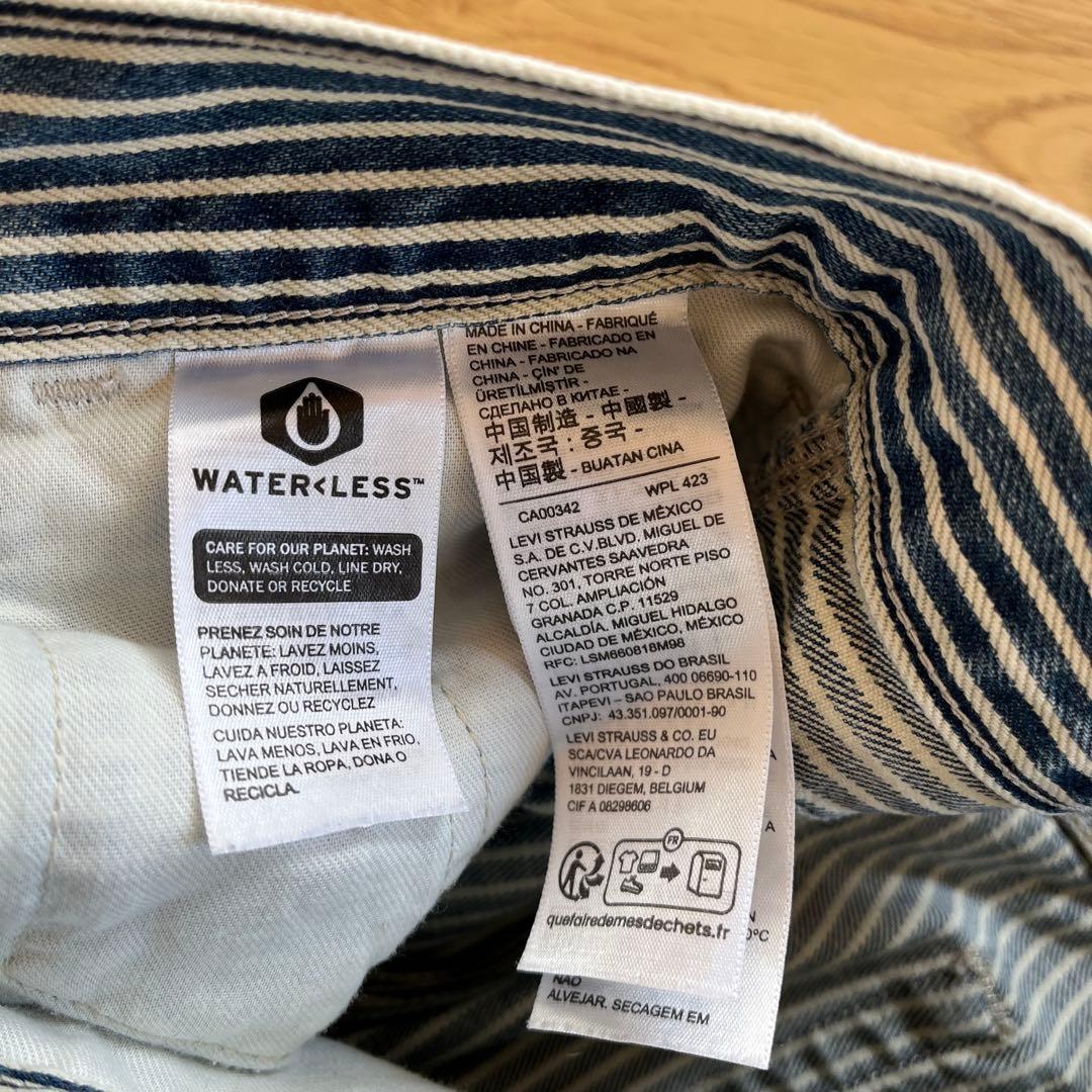 Levi's ヒッコリー ペインター ワークパンツ