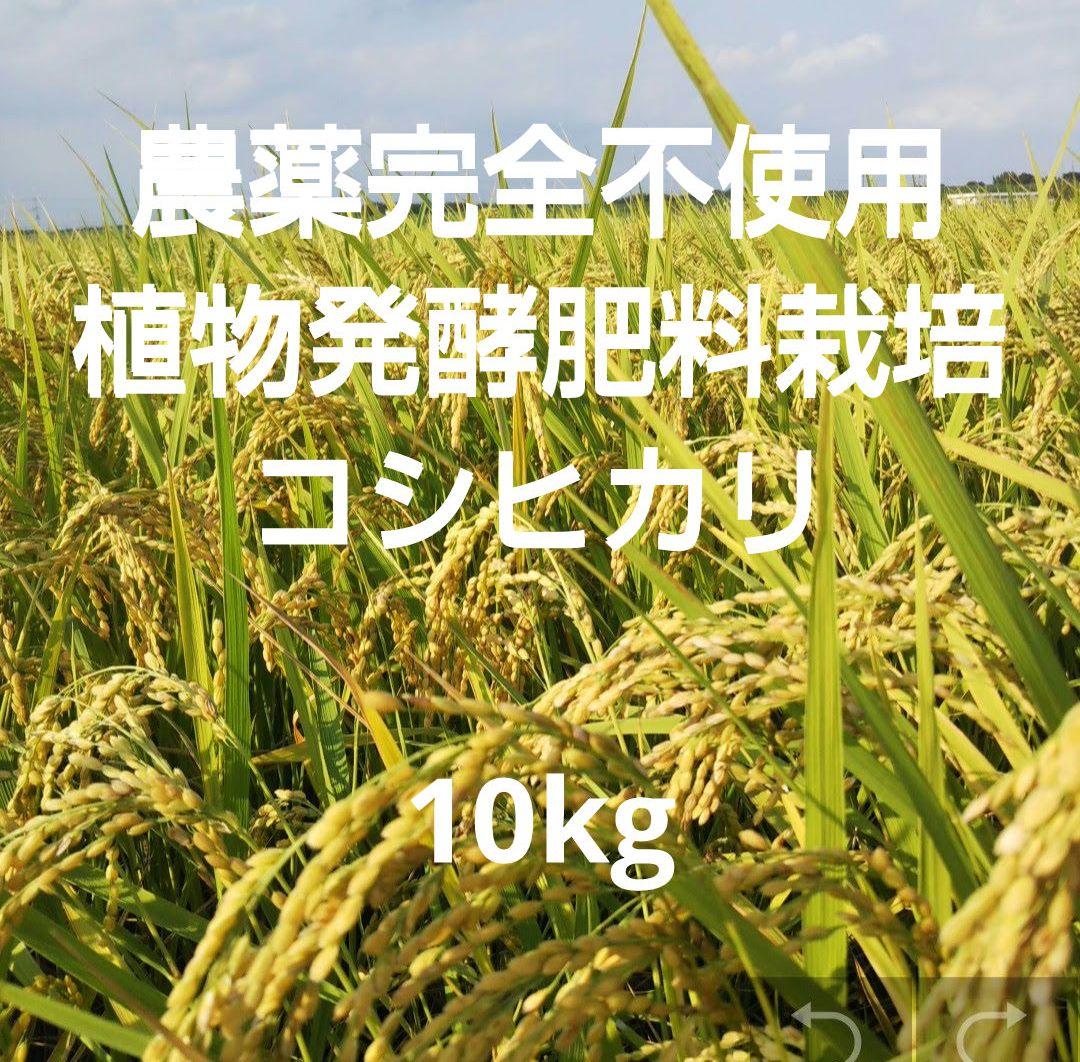 農薬完全不使用/植物発酵肥料 コシヒカリ 白米10kg