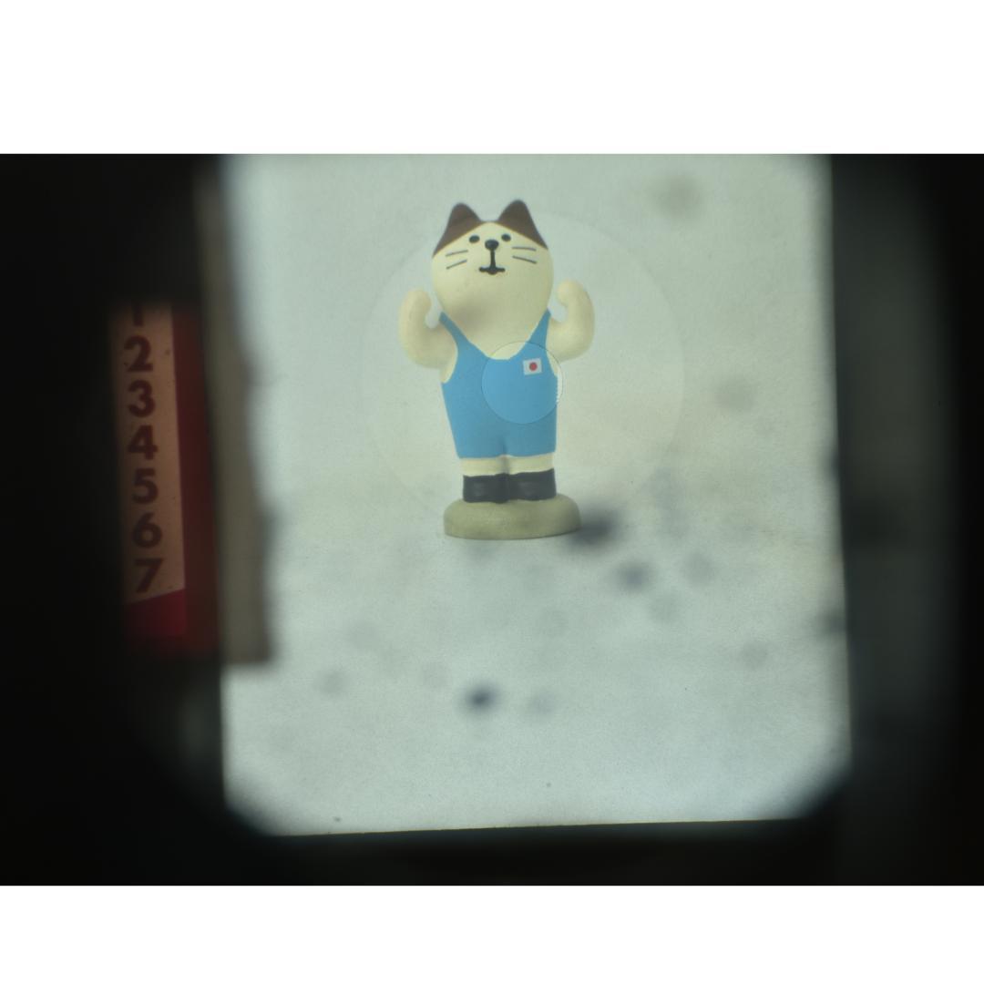 整備済 Olympus PEN FT 38mm F1.8 TTL 露出計バッチリ