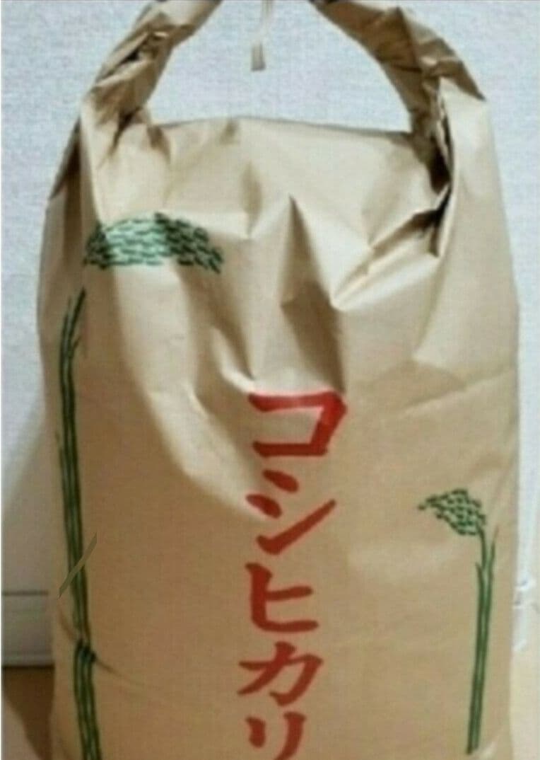 令和7年 茨城県産 コシヒカリ精米済20kg