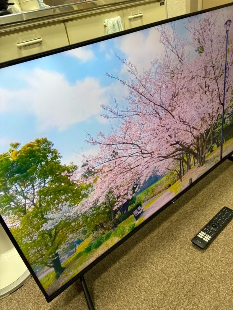 全国送料無料 ハイセンス 50V型 4K液晶テレビ 50E6G 2022年製