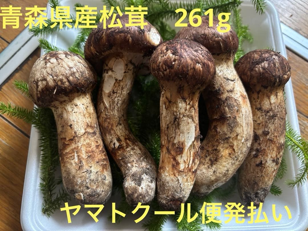 青森県産　松茸　マツタケ　261g