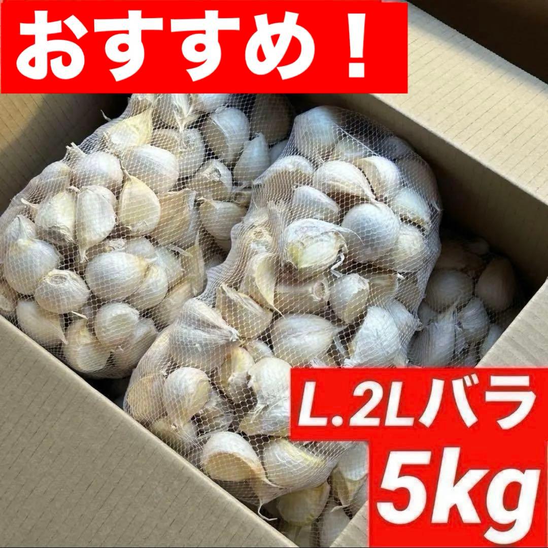【お買い得セール】青森県 福地ホワイト にんにく L.2Lバラ 5kg