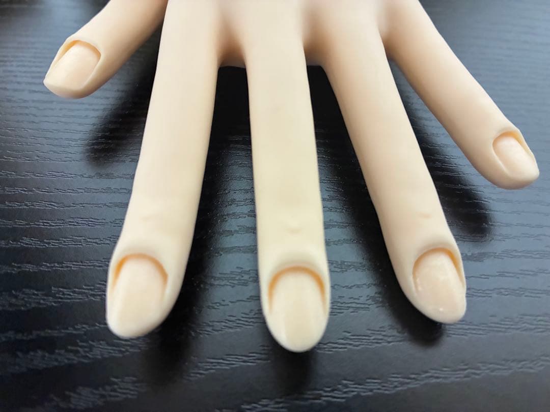 認定モデルハンド　付属品＆箱有り　JNEC