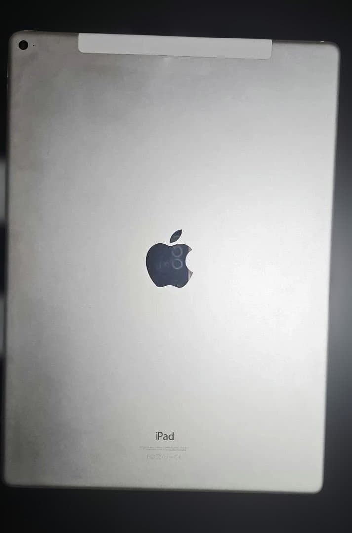 Apple iPadpro シルバー 第1世代 12.9 softbank版