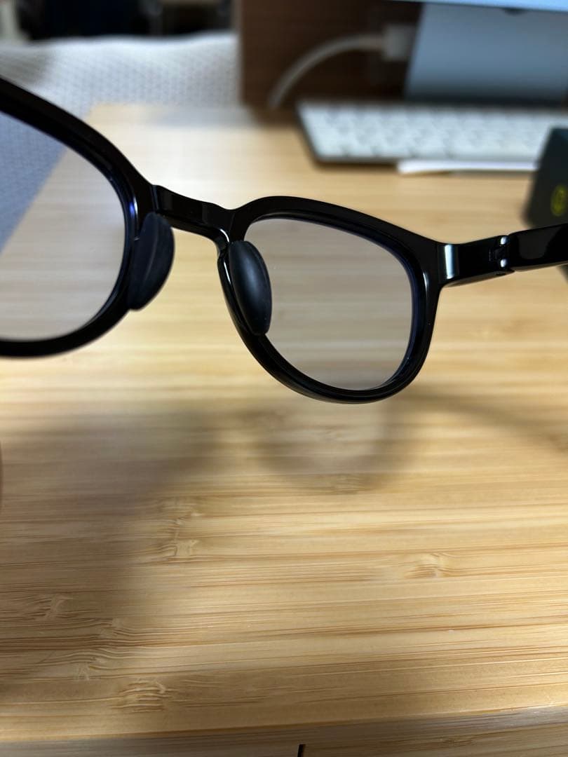 Eyevol LEIFER Ⅱ サングラス