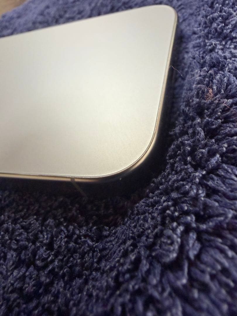 極美品　Apple iPhone 15Pro 本体