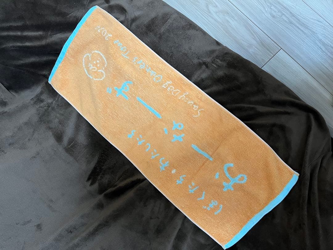 saucy dog おーなーずタオル