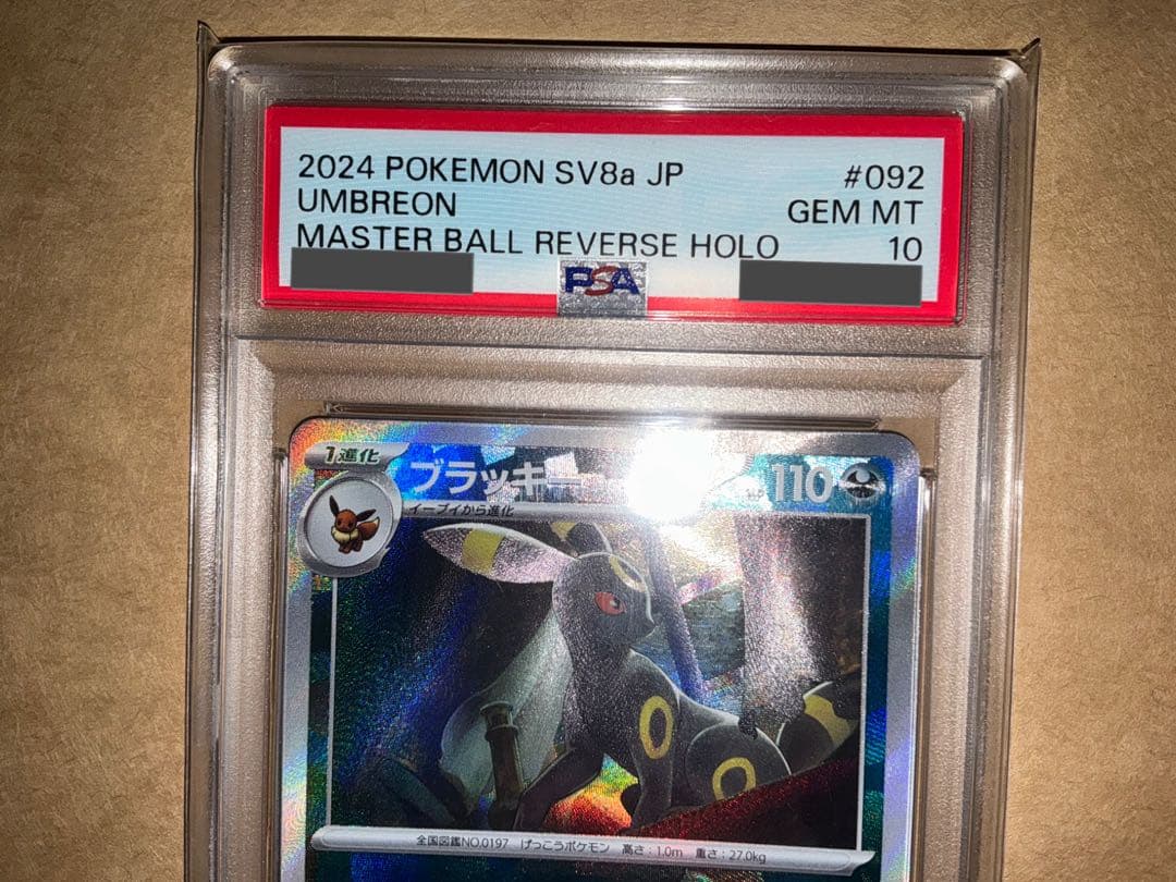 ブラッキー　マスターボールミラー　PSA10 テラスタルフェス