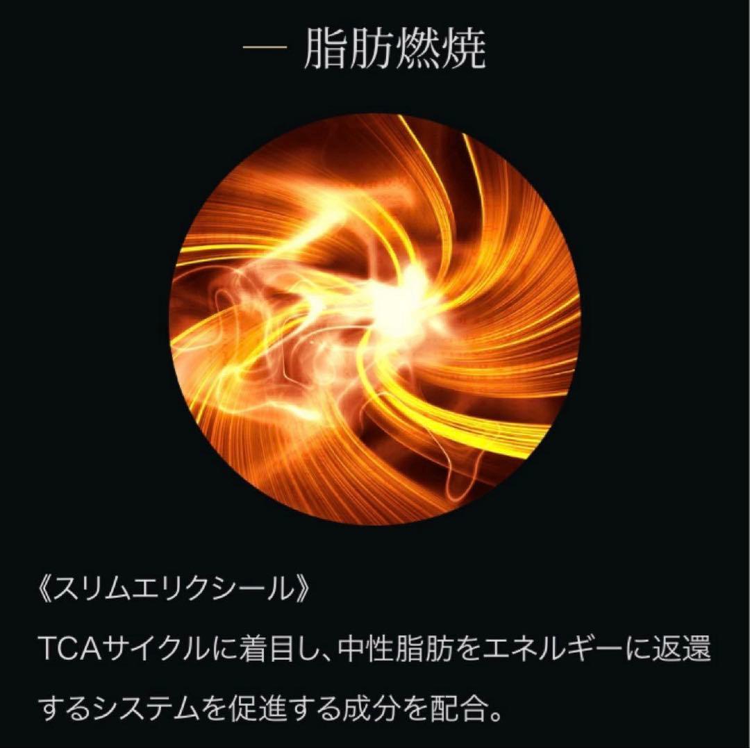 ディレイアメソボディクリーム ディープザボディクリームプロ2本　痩身クリーム