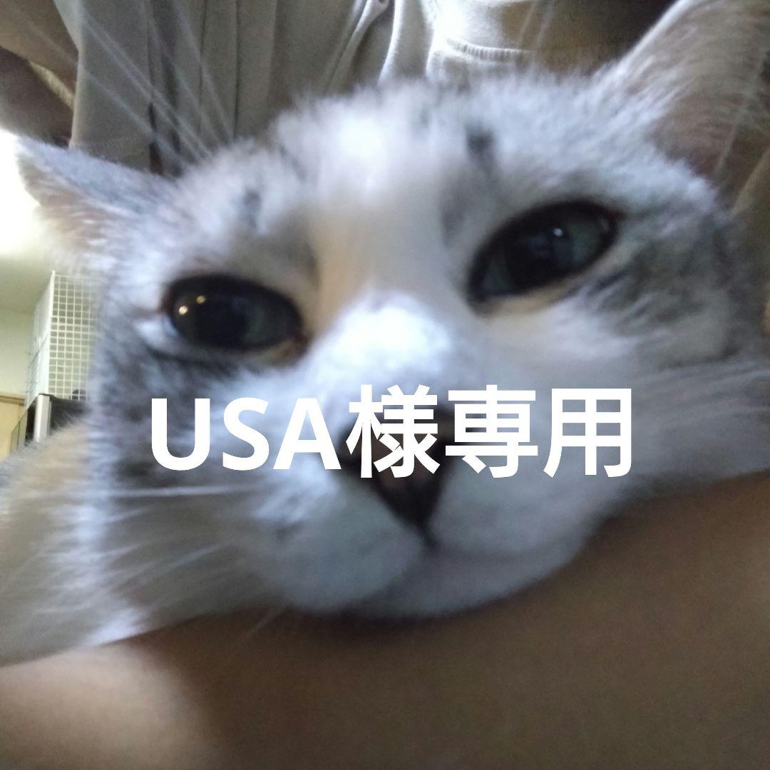 ワンピース カードゲーム USA