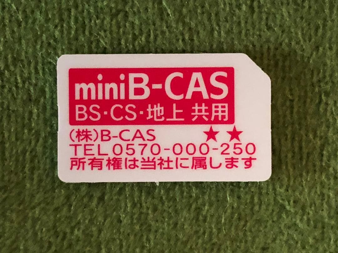 【ジャンク】プライベートビエラ　UN-10E5