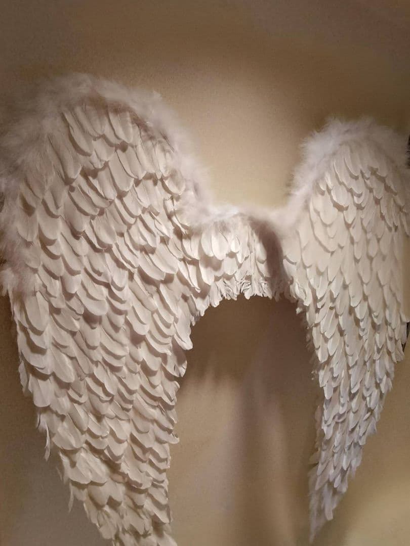 大きい天使の羽 ホワイト