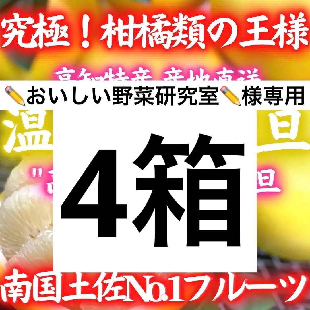 1高知特産 温室土佐文旦 ハウス 土佐文旦 文旦 3kg×4箱