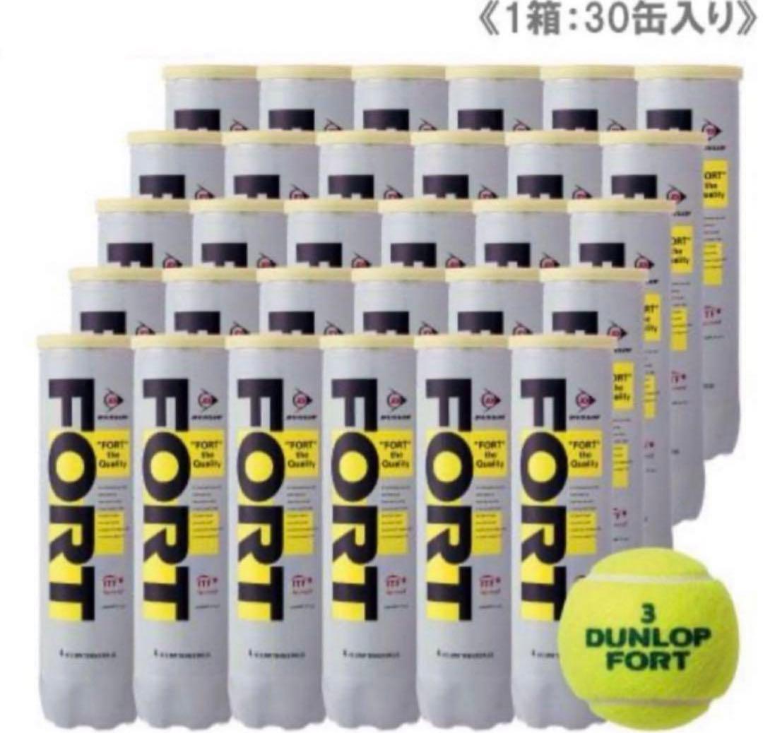 ダンロップ FORT フォート 4球×30缶(120球) DUNLOP