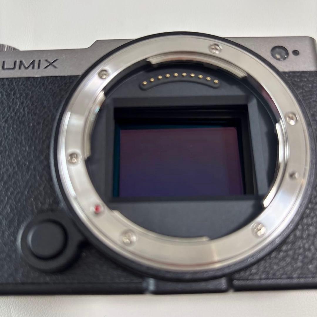 ★極上品★LUMIX S9 ボディ DC-S9-S ダークシルバー