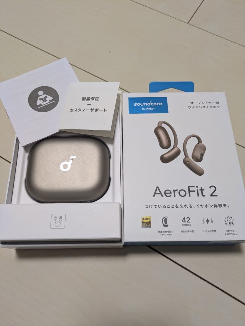 イヤホン AeroFit 2