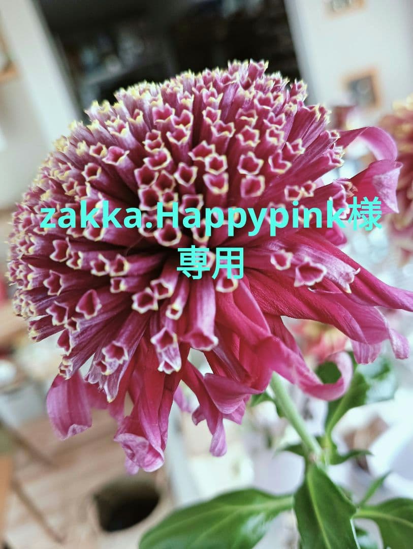 花瓶・フラワースタンド zakka.Happypink GUAXS SOMBA S