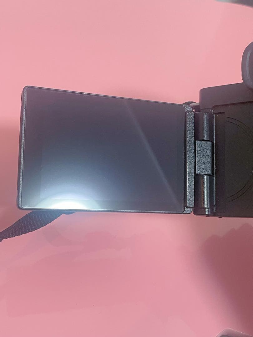 Panasonic LUMIX G100 DC-G100 ダブルズームキット