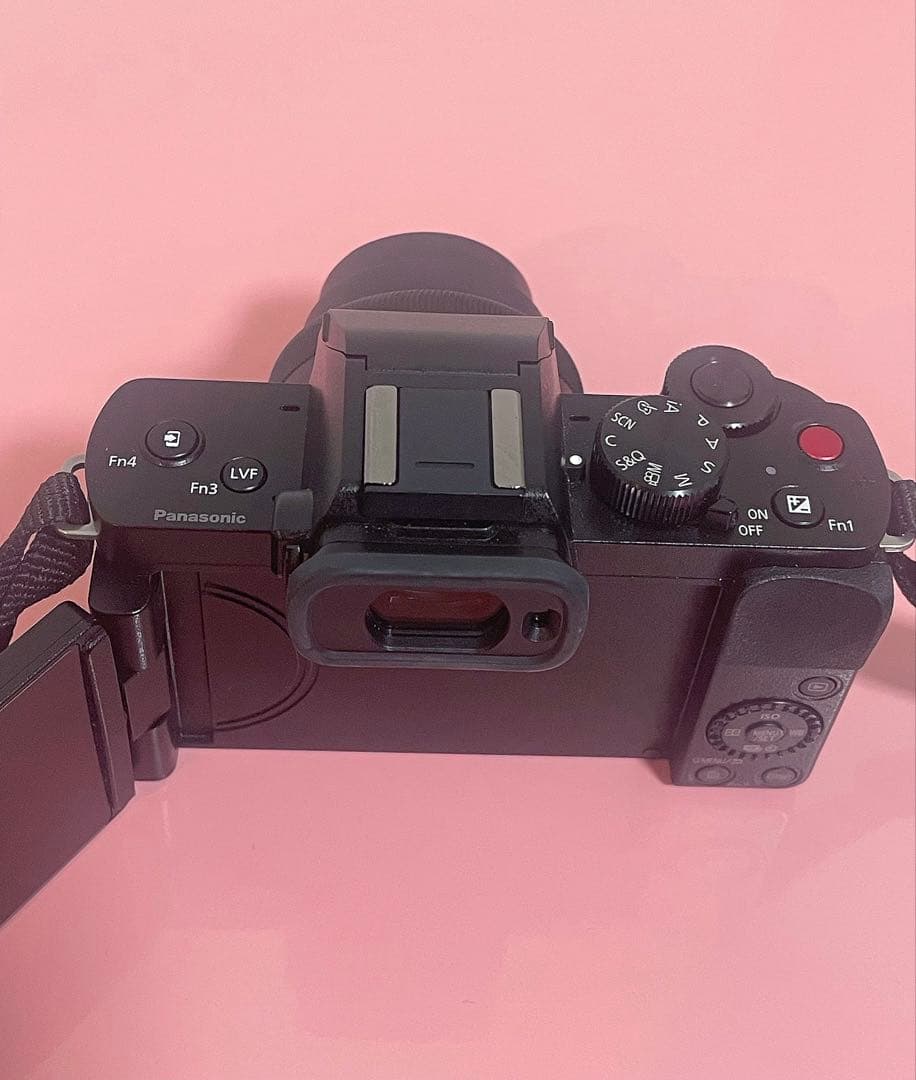 Panasonic LUMIX G100 DC-G100 ダブルズームキット