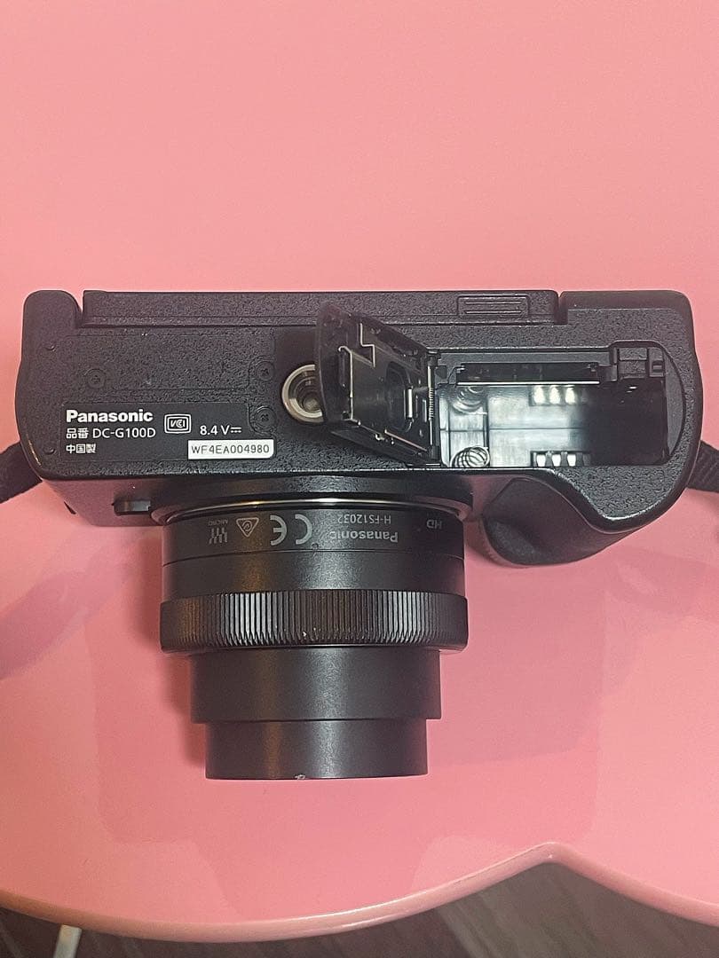 Panasonic LUMIX G100 DC-G100 ダブルズームキット