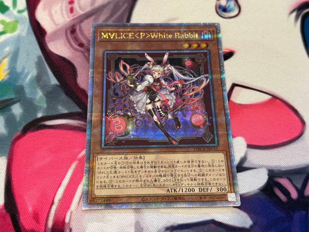 M∀LICE <P>White Rabbit 25th