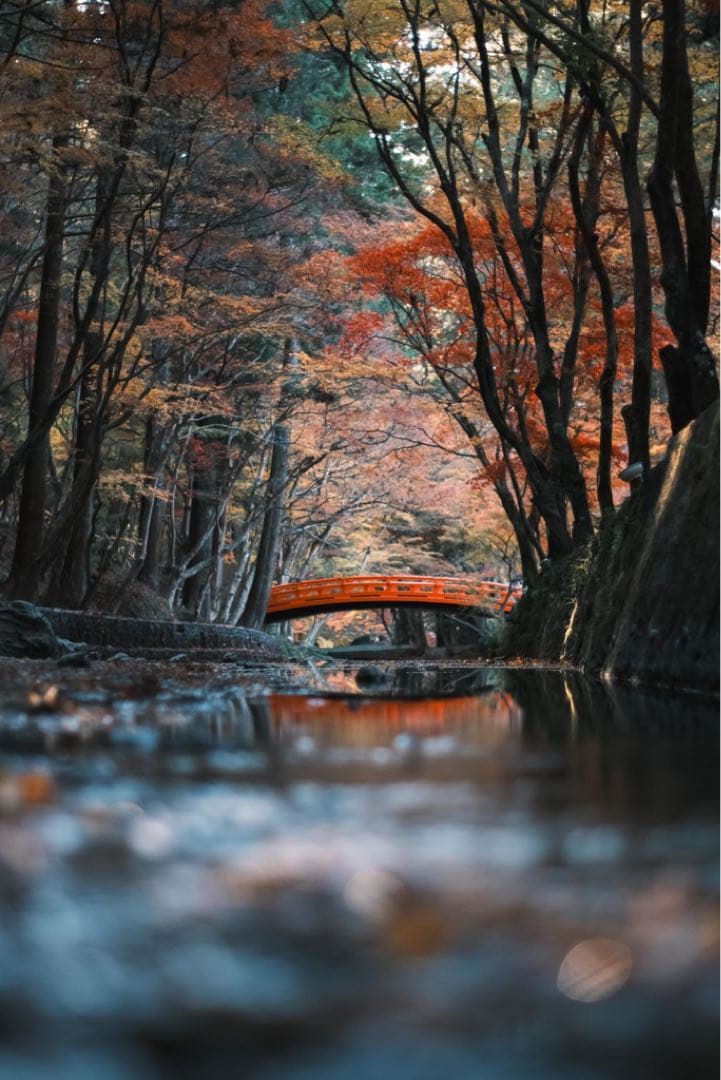 Fujifilm X-S10 ミラーレスカメラ 本体レンズ3本 etc.