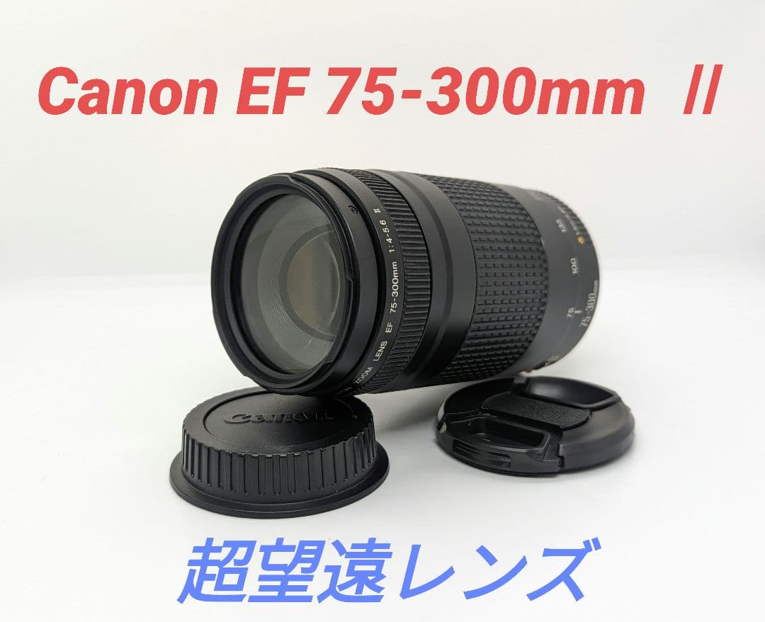 1月23日限定特価♪【超望遠レンズ】Canon EF 75-300mm Ⅱ