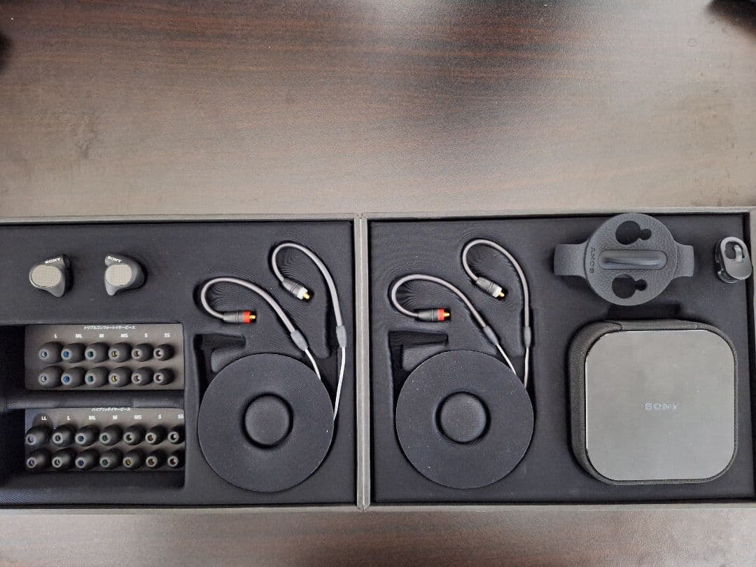 イヤホン SONY IER-M9
