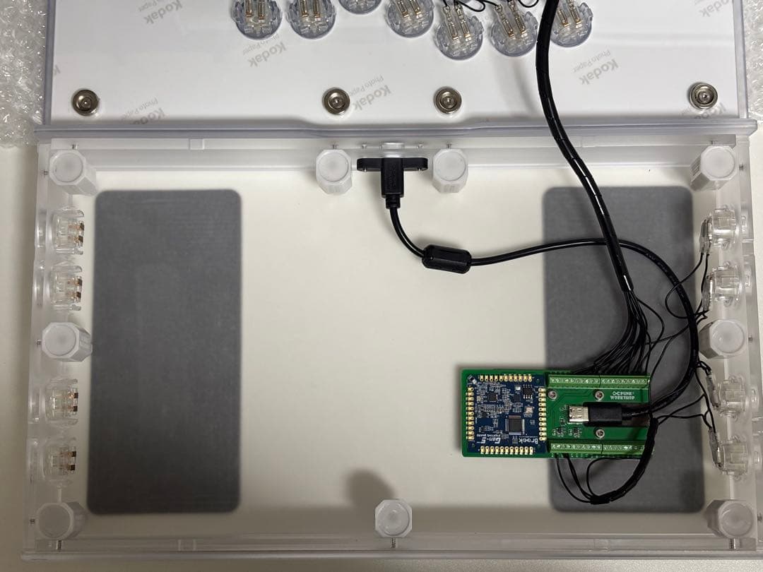 PUNK WORKSHOP Leverless S brook タイプD