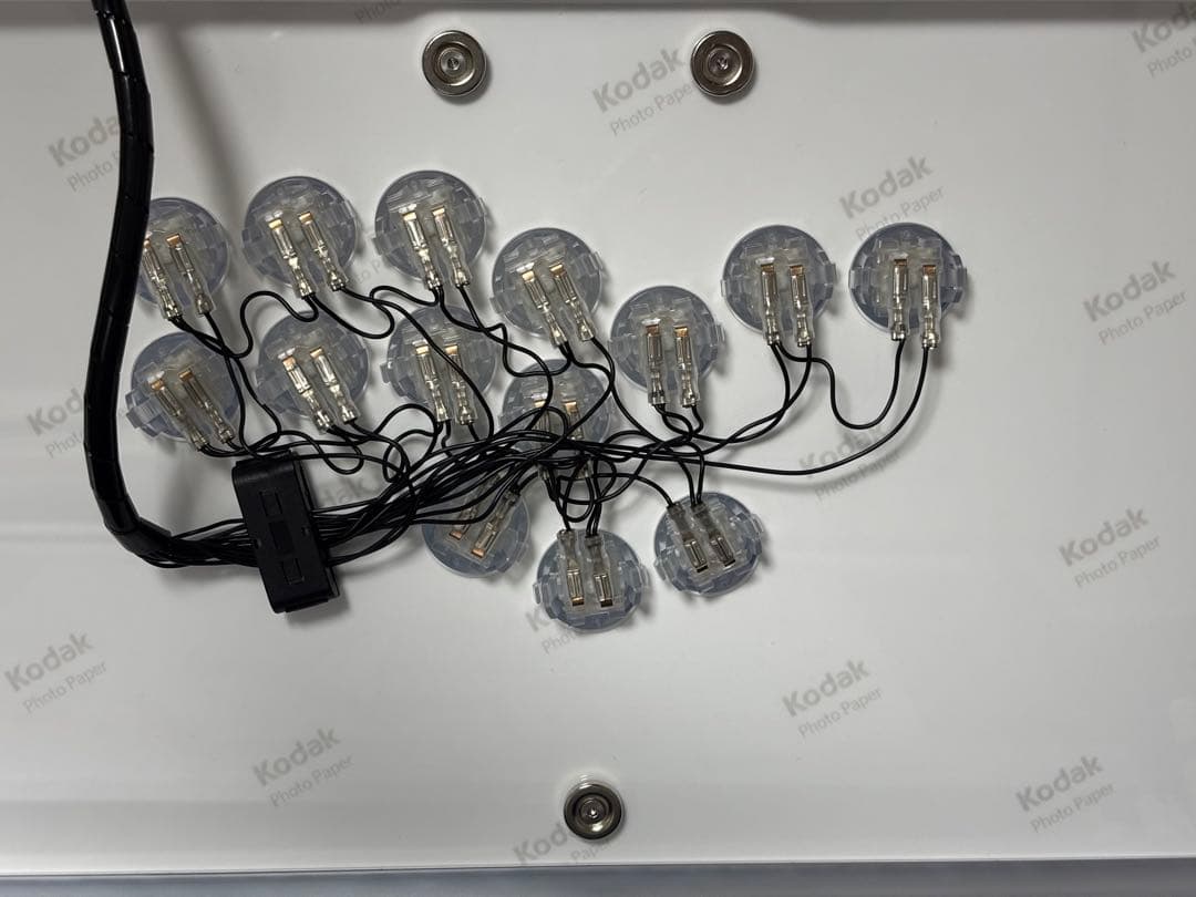 PUNK WORKSHOP Leverless S brook タイプD