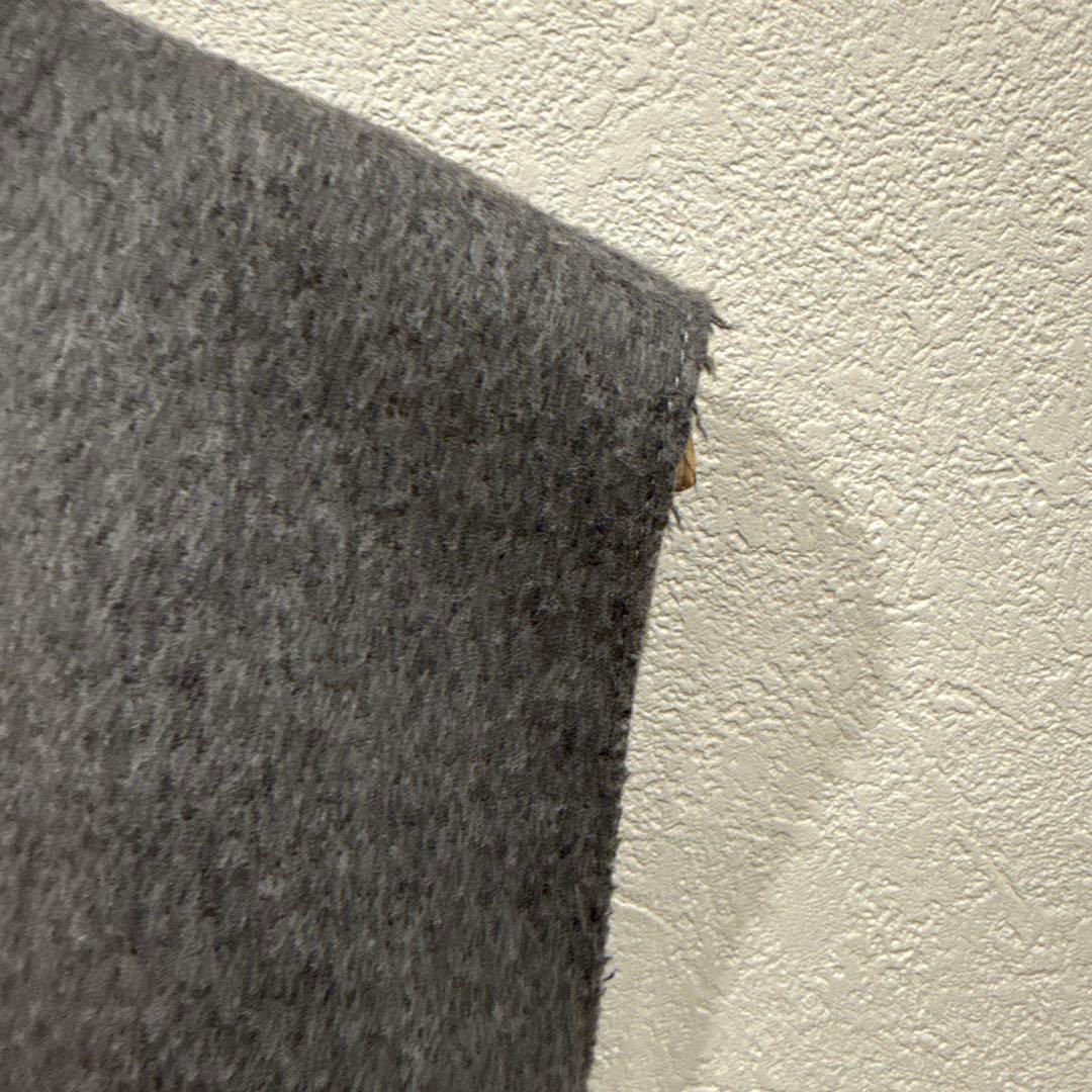 plage WO オーバーベスト