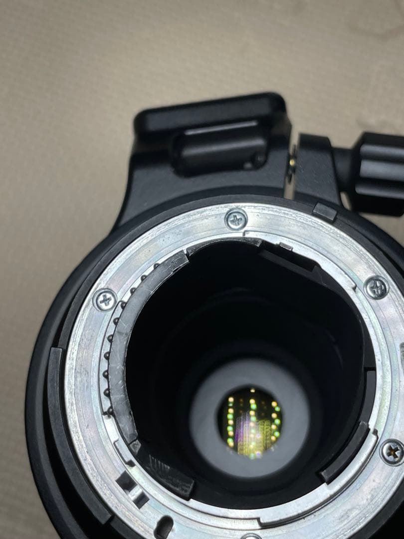 セットAF-S NIKKOR 300mm f/4D EDとテレコンTC-17EⅡ