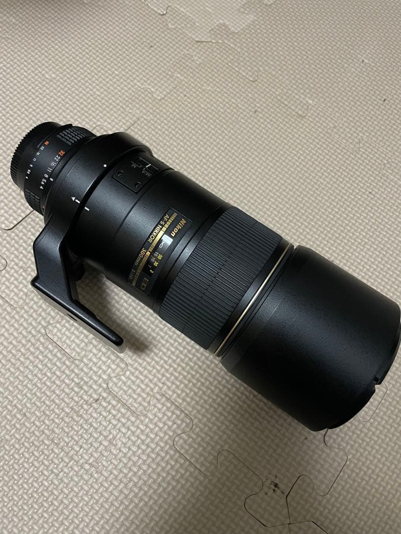 セットAF-S NIKKOR 300mm f/4D EDとテレコンTC-17EⅡ