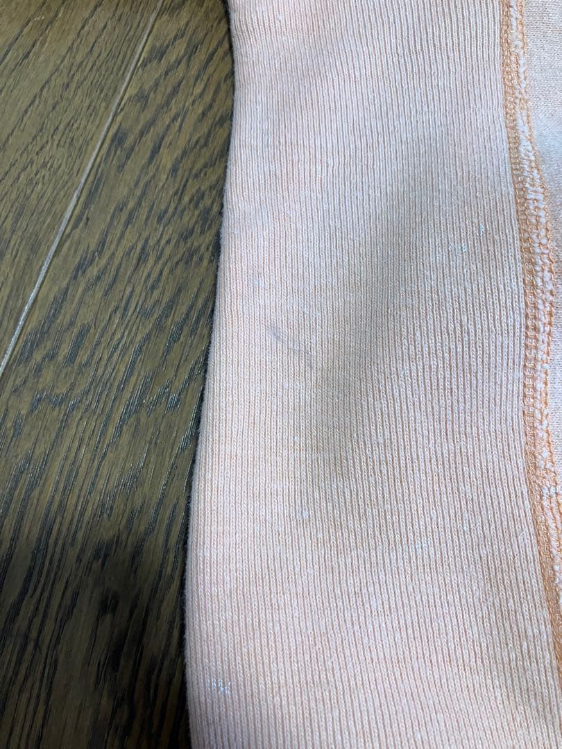 チャンピオン　リバースウィーブ　ウィスコンシン　トリコタグ　Mサイズ