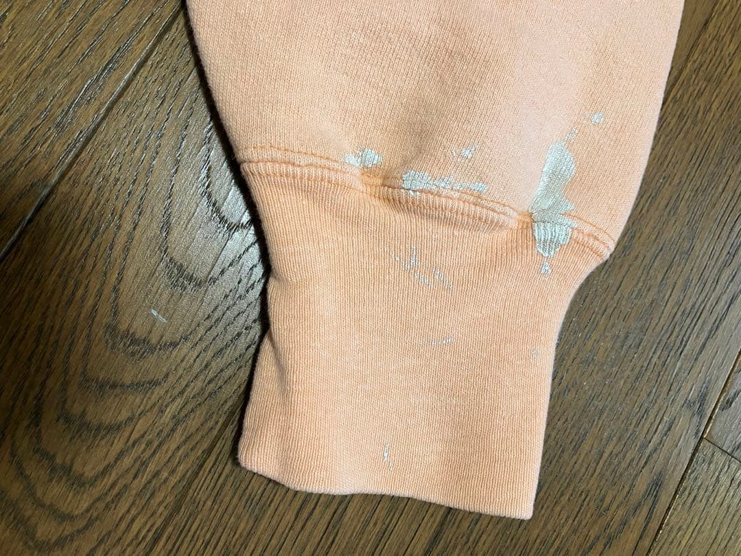 チャンピオン　リバースウィーブ　ウィスコンシン　トリコタグ　Mサイズ