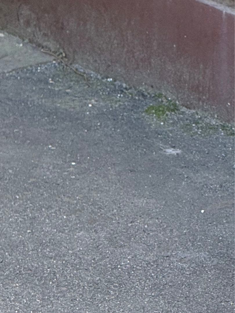 キャンバーアダプター（専用）