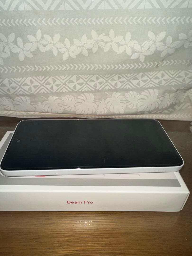 Beam Pro Wi-Fiモデル 8GB/256GB 美品　コバヤシ