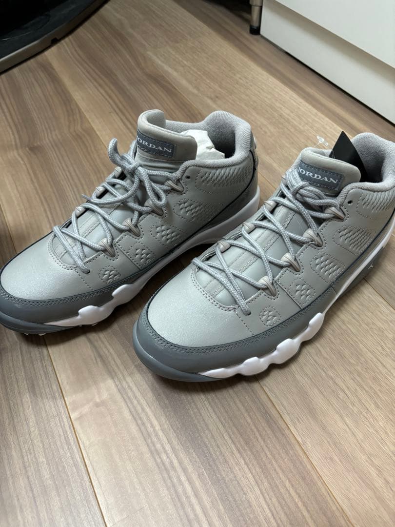 Air Jordan 9 G グレー 8 (US) 値下