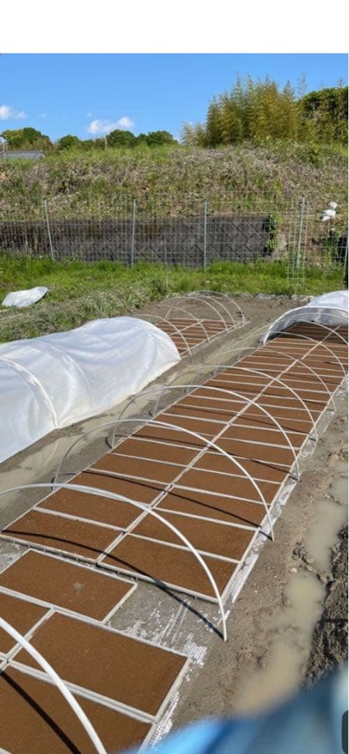 奈良県産自然栽培ヒノヒカリ10kg玄米