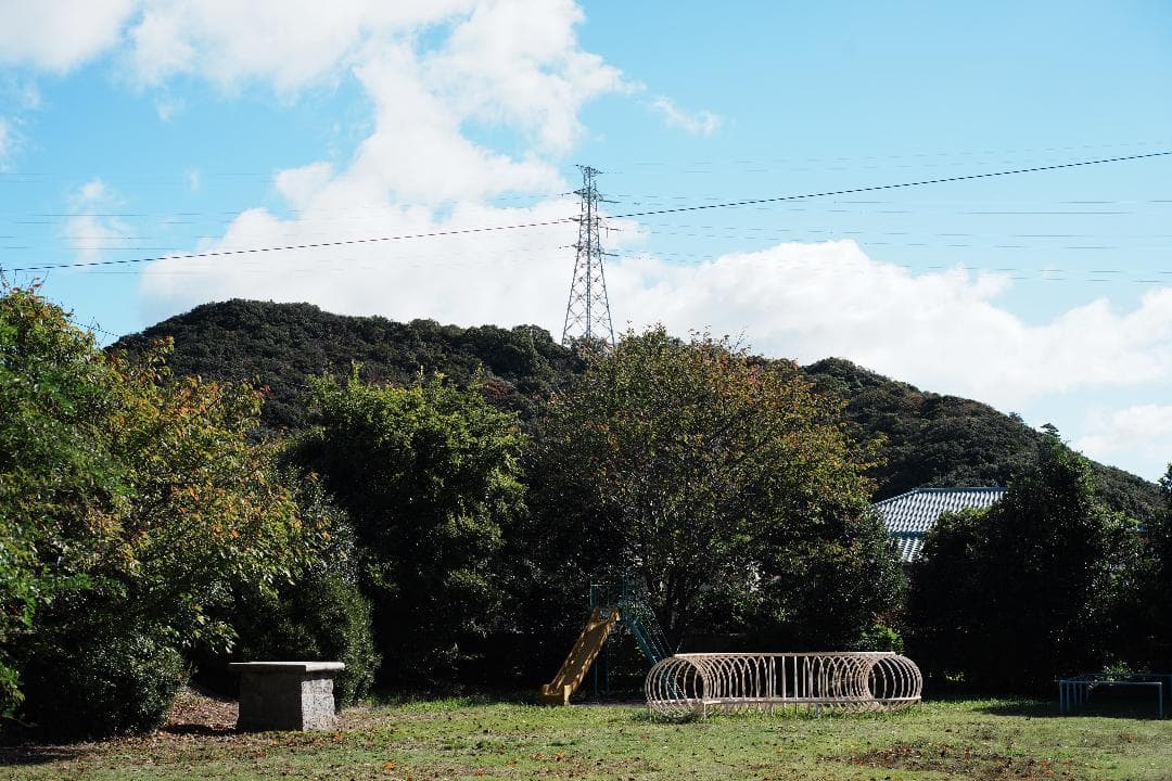 希少品！自然描写のOLYMPUS ZUIKO 50mm F2 MACRO 340