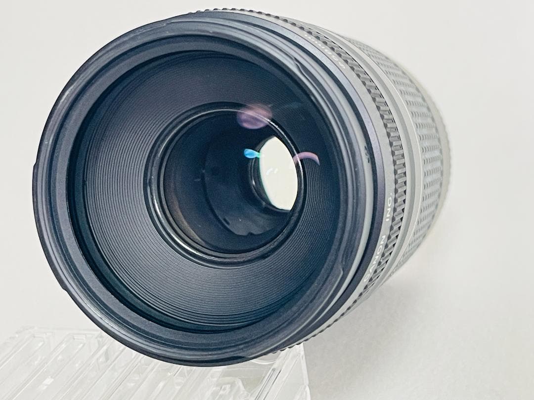 【完動品】 Canon EF 75-300mm F4-5.6 III 望遠レンズ