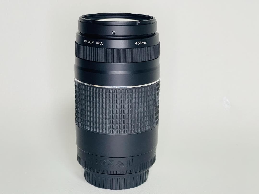 【完動品】 Canon EF 75-300mm F4-5.6 III 望遠レンズ