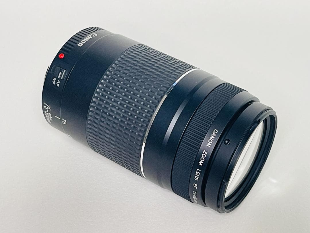 【完動品】 Canon EF 75-300mm F4-5.6 III 望遠レンズ