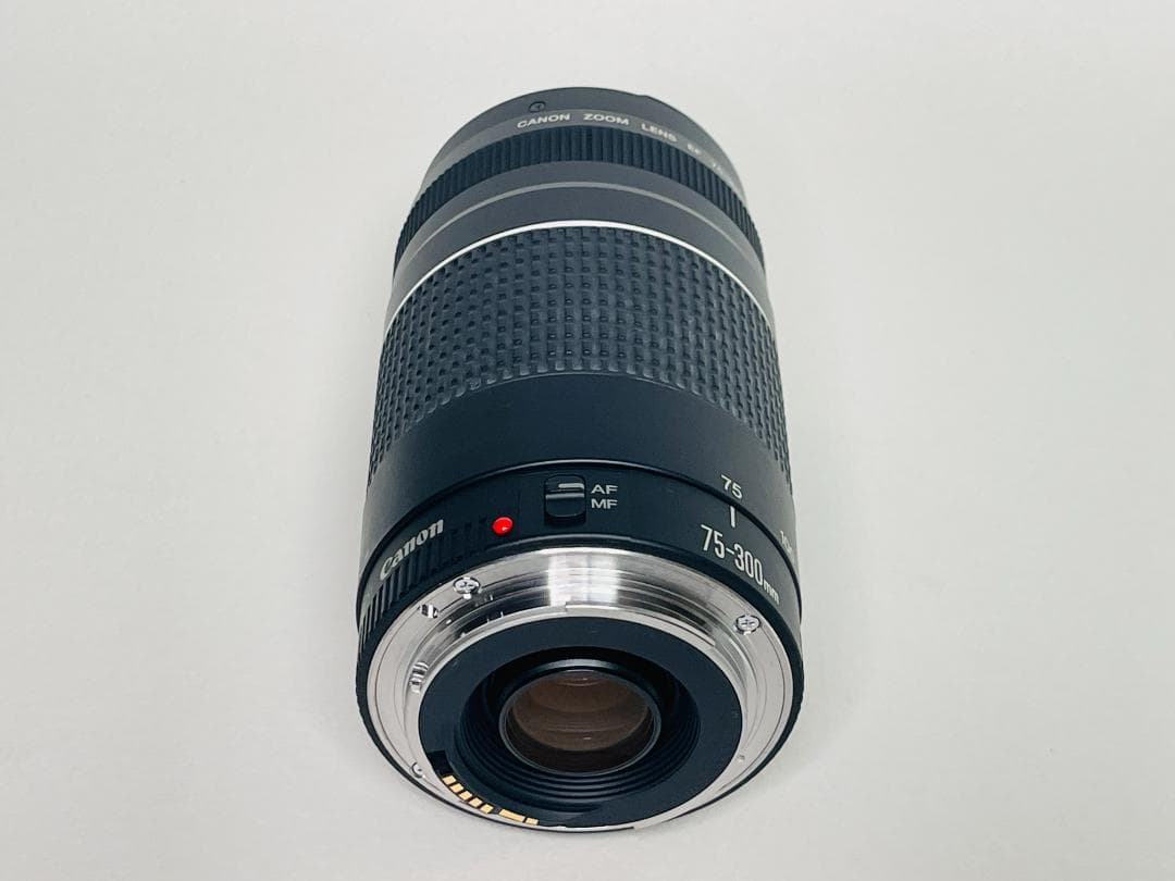【完動品】 Canon EF 75-300mm F4-5.6 III 望遠レンズ