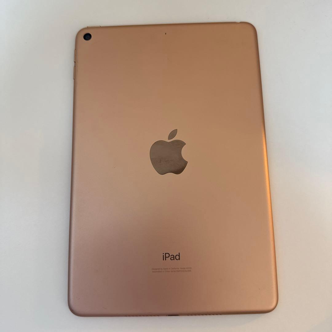 iPad mini 第5世代(ゴールド) 64GB バッテリー100%